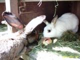 Freya besucht P�nktchen