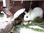 Freya besucht P�nktchen