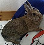 Hauptsache gem�tlich
