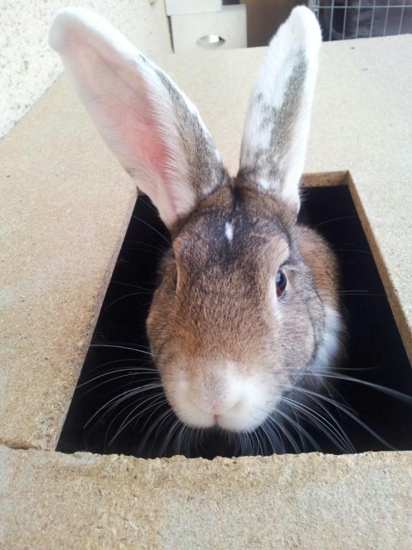 Chuck in der Buddelbox