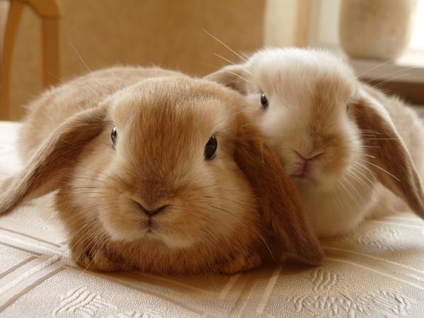 Fienchen & Emily
