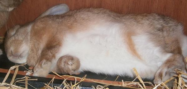 Sunny beim chillen (: