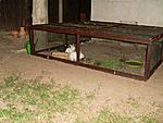 Au�engel�nde (von links nach rechts - Snoopy, Hazel, Woodstock)