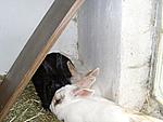 Gruppenkuscheln