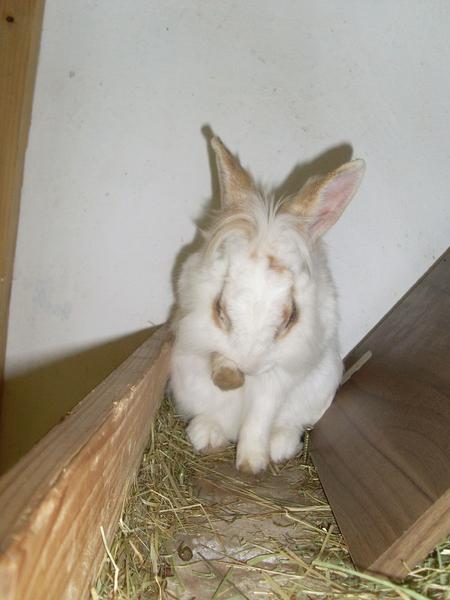 Ich hab die Haare sch�n =)