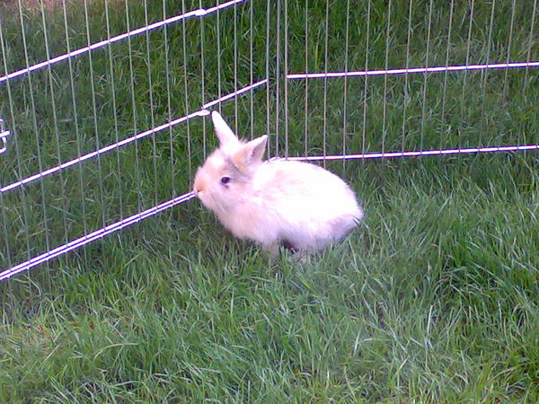 Hier war Sie noch ganz jung!!