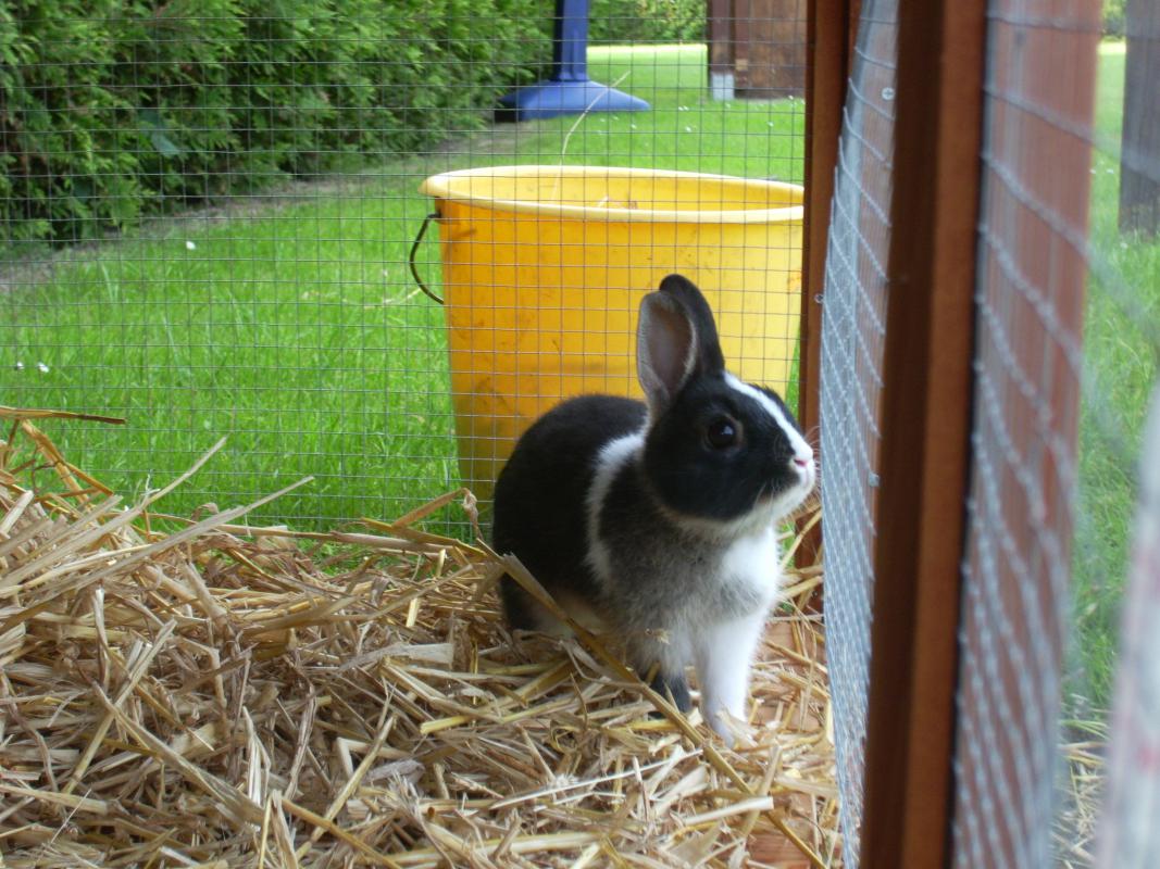 Bild 724