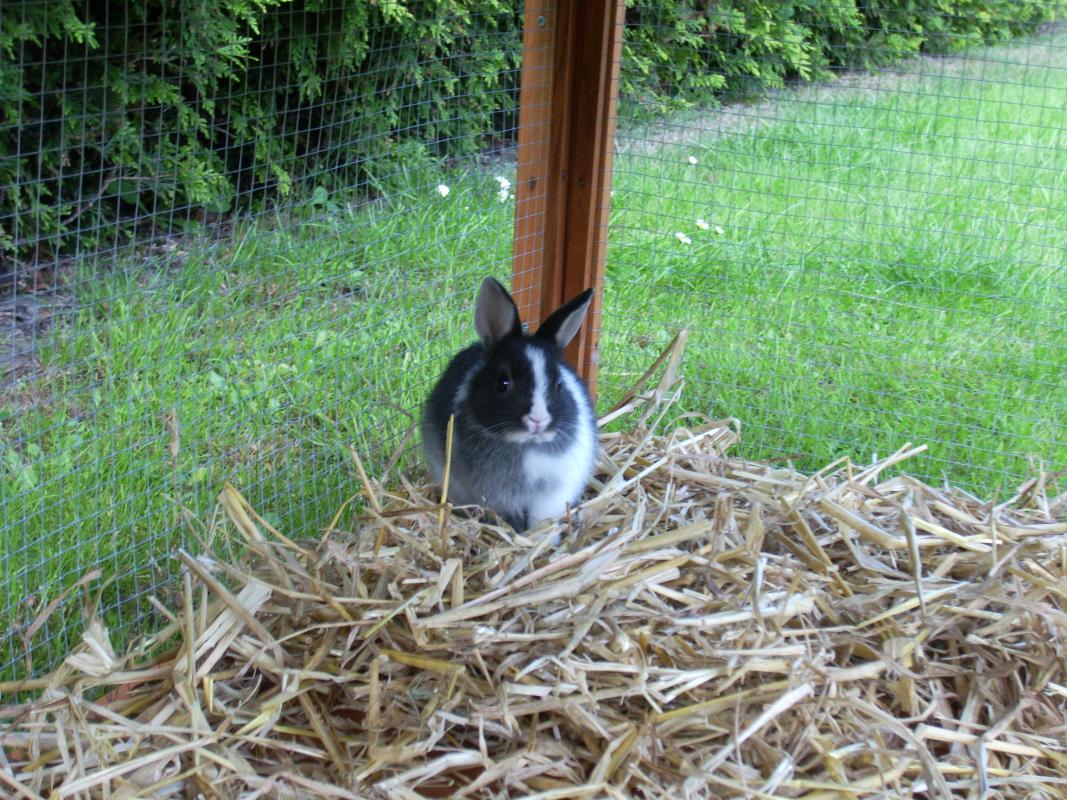 Bild 409