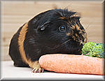 Urmelchen