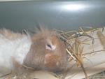 Bild vom 15.03.2014