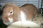 Bild vom 30.06.2014