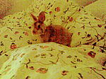 Bild010