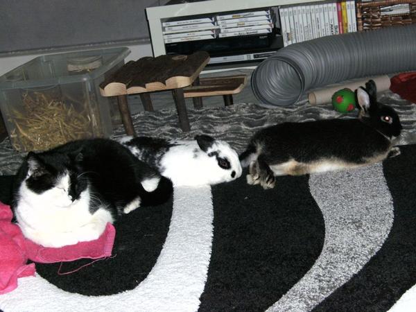 Chillen ist angesagt