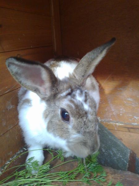 Tiffy meine beste