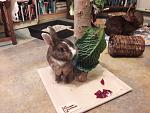 Zora am Futterbaum