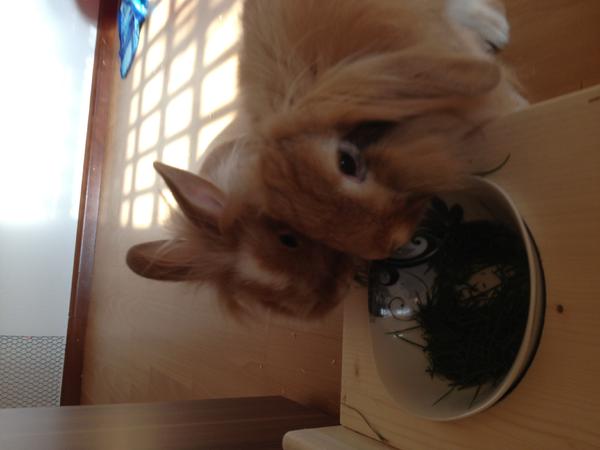 IMG 0147[1]