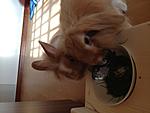 IMG 0147[1]
