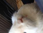 IMG 4716[1]
