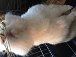 IMG 4720[1]