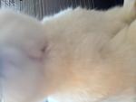 IMG 4725[1]