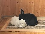 Asja & Jussi