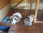 Lotta, Charlotta, Max im Haus