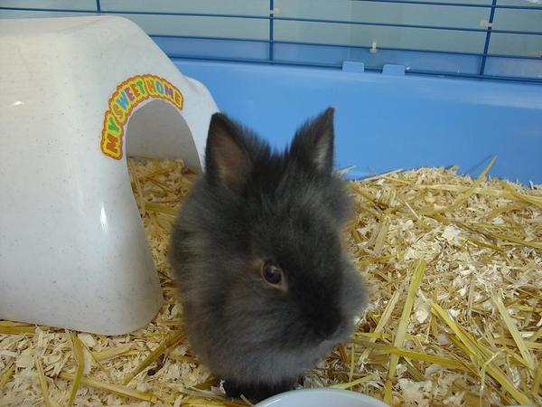 Bruno als Baby 2005
