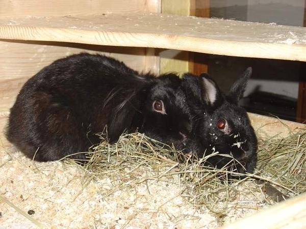 Kuscheln!