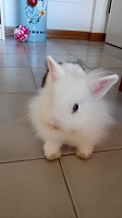 IMG 20141017 163417