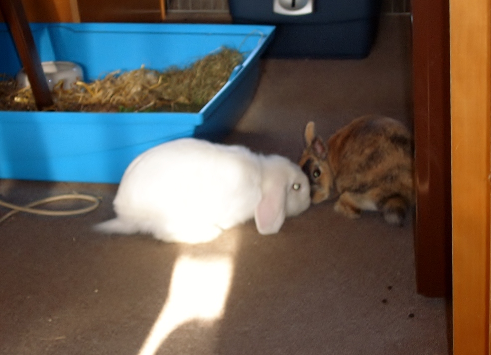 First kiss *-*