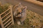 DSC 0181