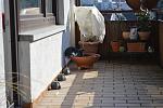 DSC 0326
