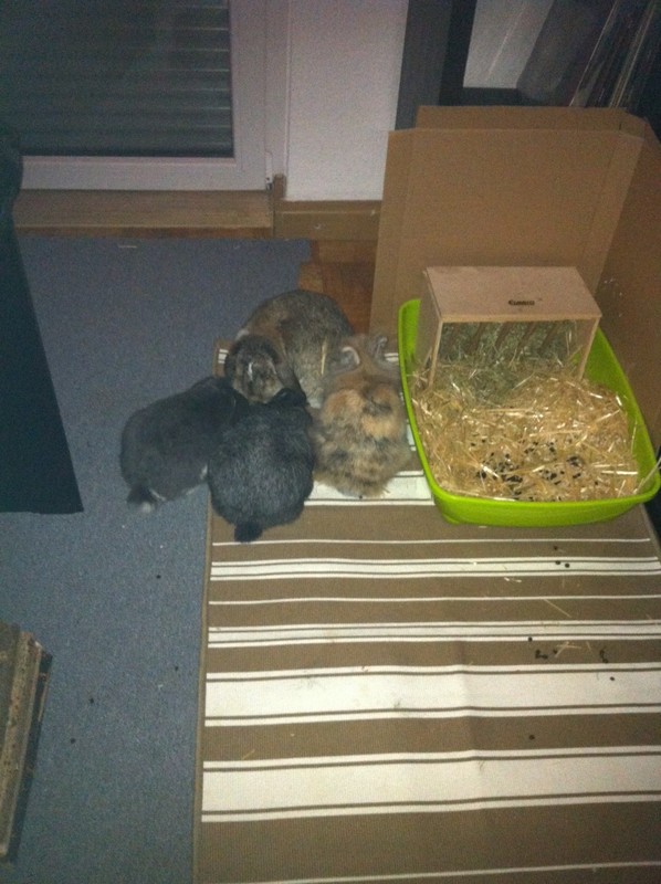 Foto 3 (2)