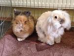 IMG 7670[1]