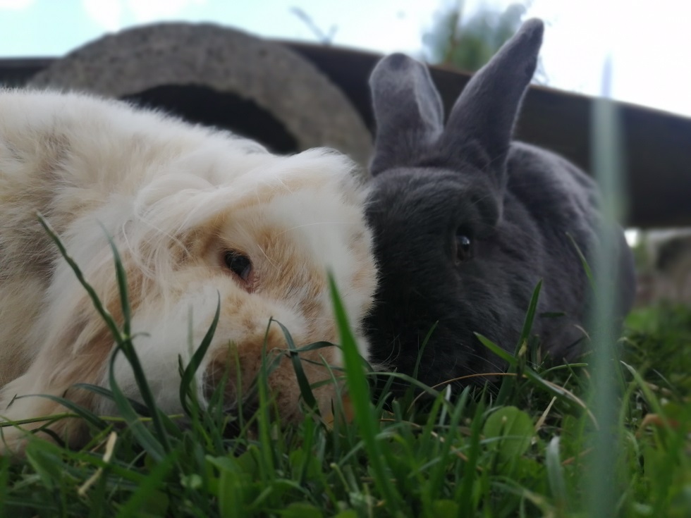 Remy + Archi 💞