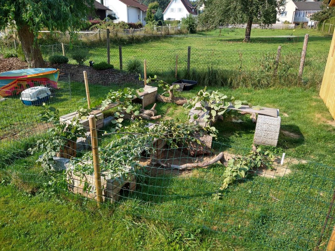 Auf dem Spielplatz was neues zum Knabbern! ღ