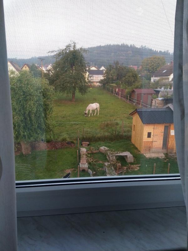 Der sch�nste Ausblick durch mein Zimmerfenster! 😍