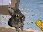 26.07.2011 - 24 Tage alt - Yang