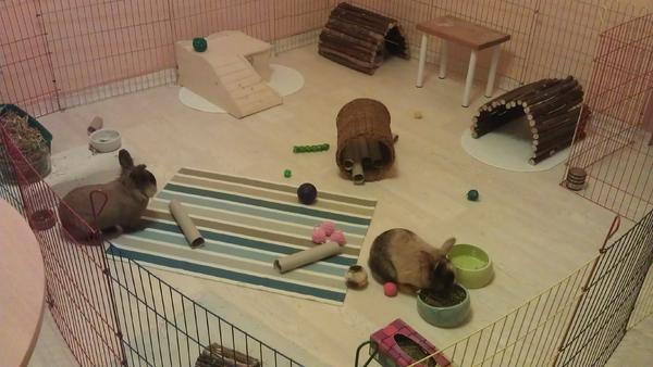 neues Gehege