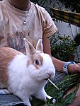 IMG 5431