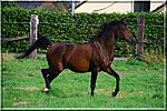 Bilderchen
