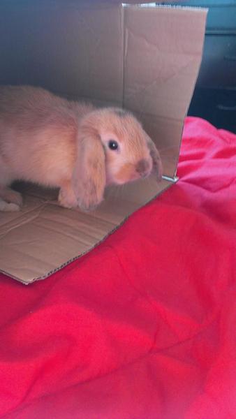 Guck Guck :)