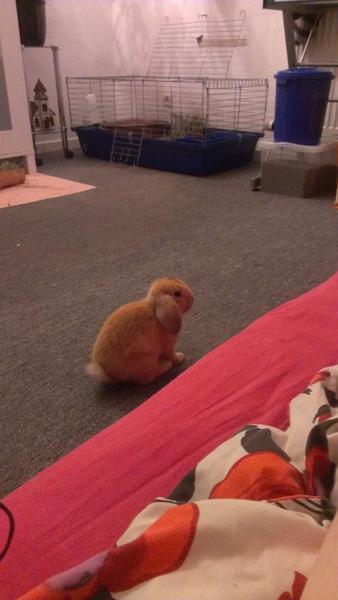 mh.. was ist da ??