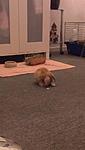 ich versteck mich..