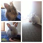 Foto4