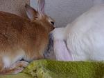 Meine S��en 2