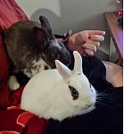 Finchen und Roger