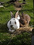 Flecki und Frieda kuscheln