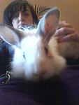 Mr. Fluffy