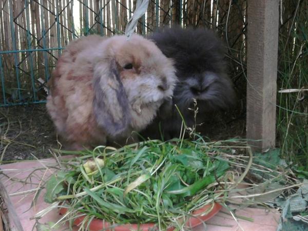 Maxi & moritz 02